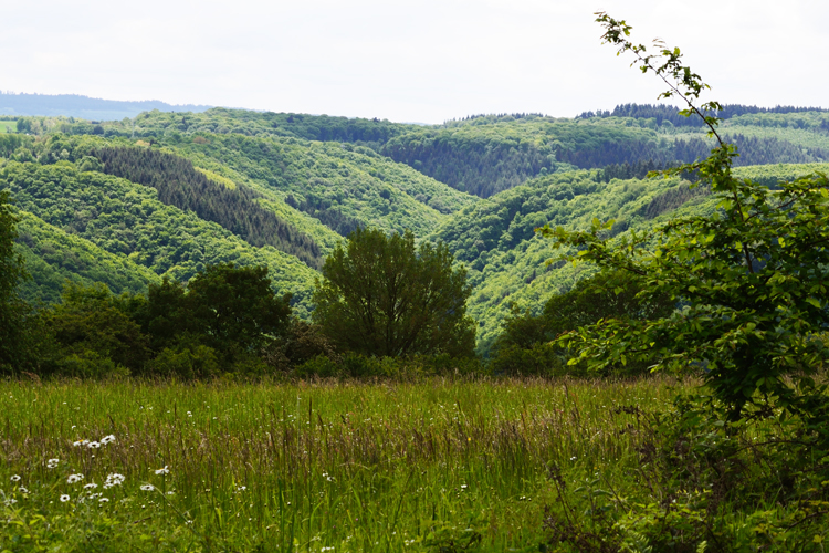 Landschaftsbild