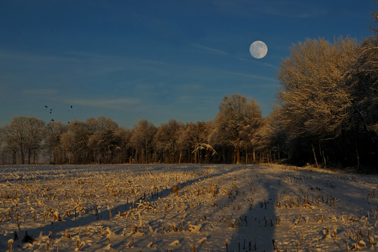 Landschaftsbild